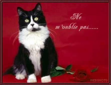 Jai quitté mon homme pour une femme